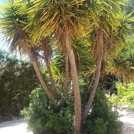 Vakantiehuis Aloe